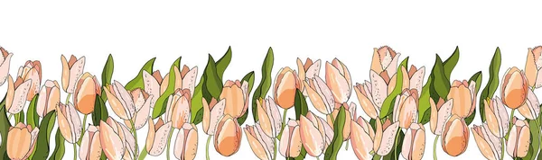 Шаблон Цветов Тюльпанами Оформления Приглашений Открыток Подарочных Коробок — стоковый вектор
