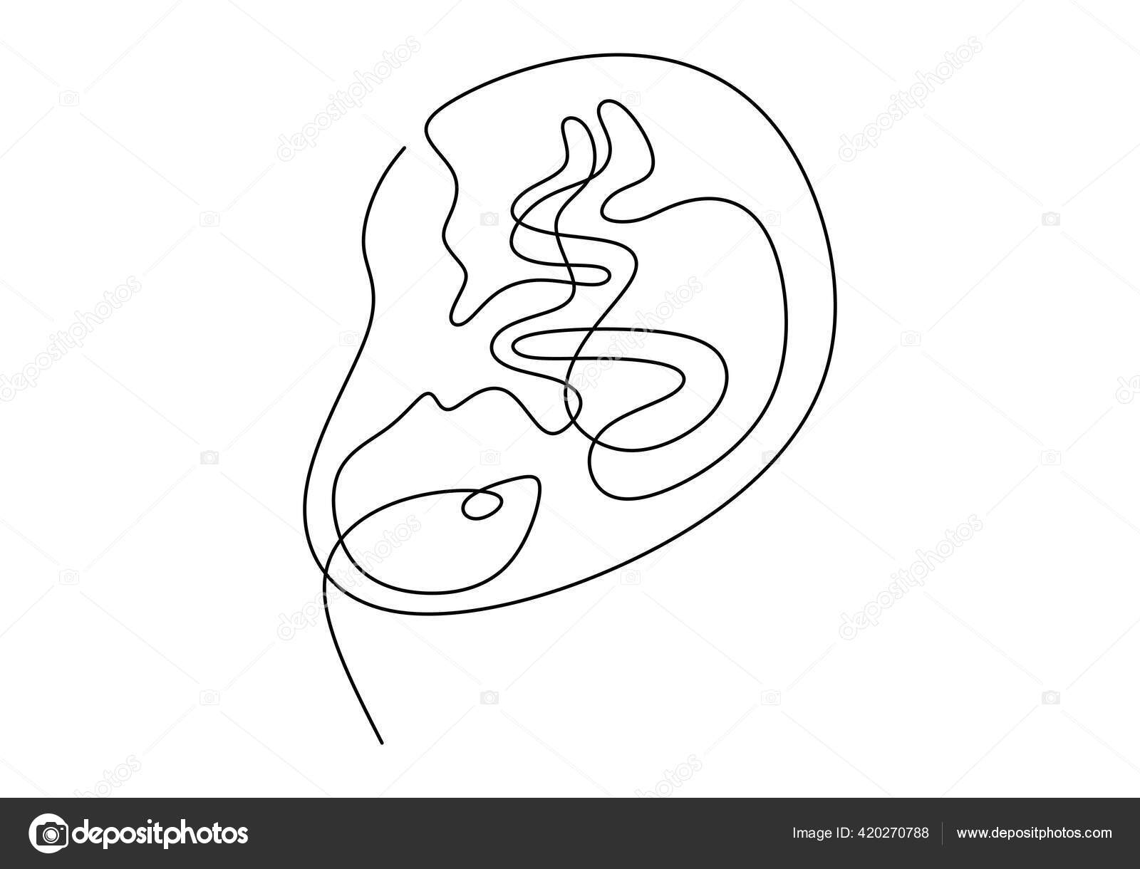 Baby Womb One Single Line Drawing Cute Unborn Fetus Baby Vector Image By C Ngupakarti Vector Stock 420270788