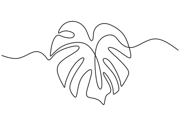 Monstera Folha Linha Arte Folhas Tropicais Desenho Linha Contínua Desenhar — Vetor de Stock