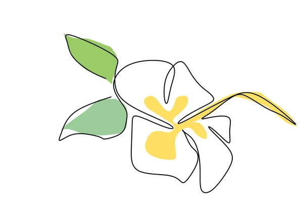 Flor Belleza Fresca Una Línea Continua Estilo Dibujo Flor Hermosa — Vector de stock