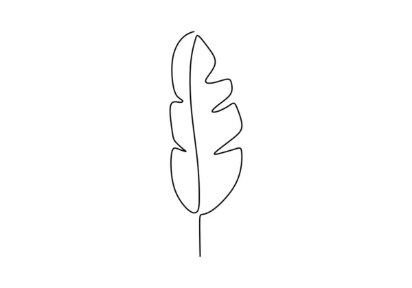 Одна Линия Рисунок Бананового Листа Дерева Ботанические Произведения Искусства Изолированы — стоковый вектор