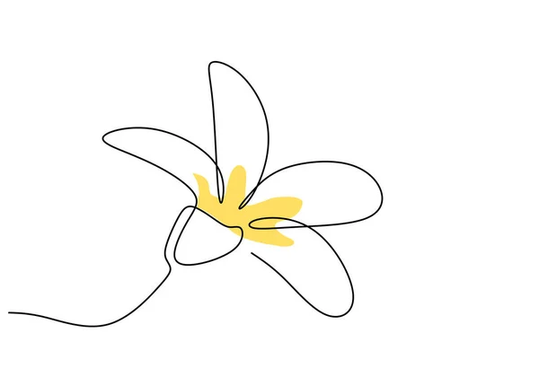Bela Flor Uma Linha Estilo Desenho Contínuo Jasmim Balinese Flor — Vetor de Stock