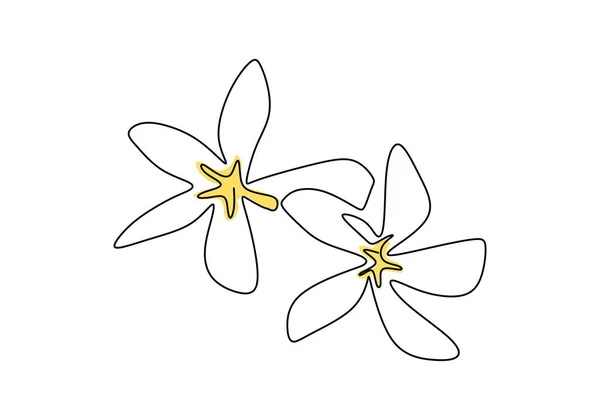 Krásná Květina Jeden Řádek Kontinuální Styl Kreslení Jasmine Balinese Květinový — Stockový vektor