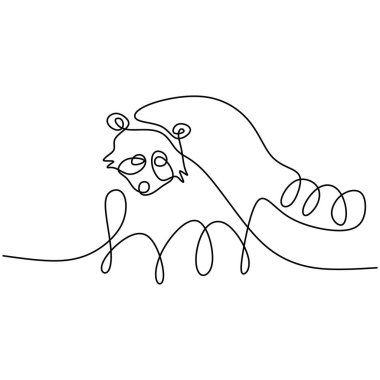 Rakun sürekli bir çizgi çiziyor. Beyaz arka planda izole edilmiş ulusal koruma parkı ikonu için komik rakun maskotu konsepti. Kış hayvanı elle çizilmiş minimalizm tasarımı