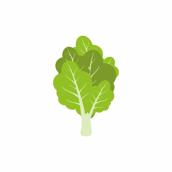 Feuilles Laitue Vert Vif Nutrition Végétarienne Isolée Sur Fond Blanc — Image vectorielle