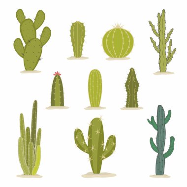Vector set of green cactus. Tropical home plants or arizona summer climate garden cactuses and succulent. Collection of exotic plants. Decorative natural elements are isolated on white