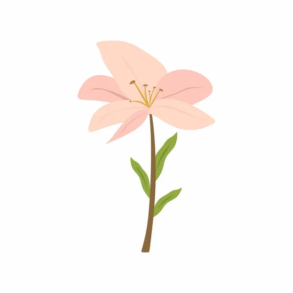 Fotografía Moda Minimalista Hermosa Flor Rosa Con Hojas Verdes Aisladas — Vector de stock