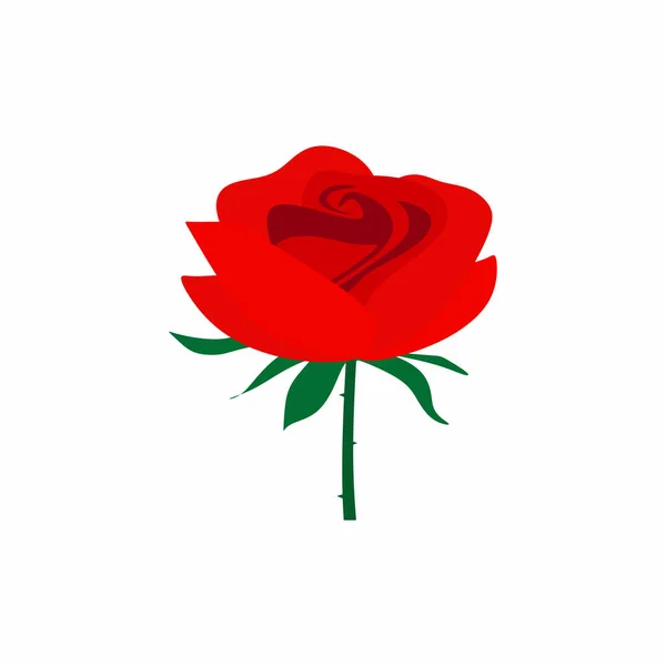 Rosa Roja Aislada Sobre Fondo Blanco Hermosa Rosa Con Hojas — Vector de stock