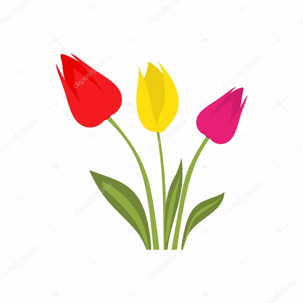 Colorful tulip flower cartoon icons. Nature flower spring and summer in garden isolated on white background. Botanical concept. Floral in flat design style. Vector design element illustration
