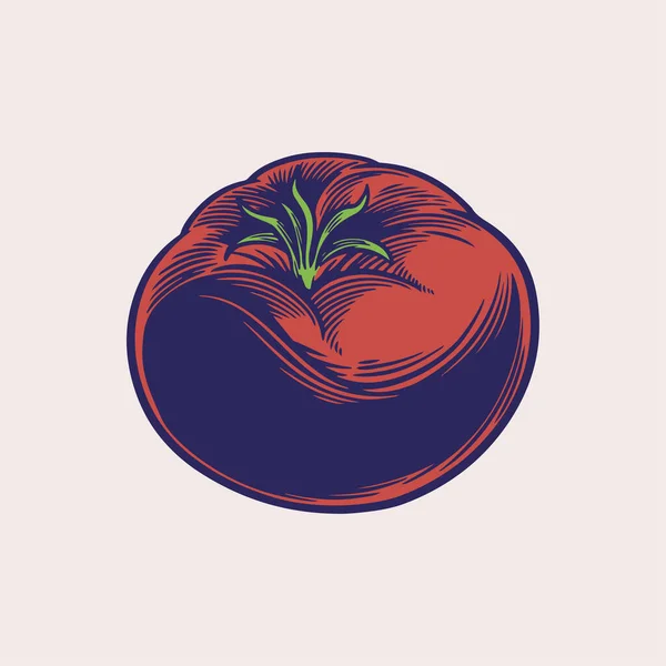 Dibujo Tomates Ilustración Estilo Grabado Producto Del Mercado Agrícola Esbozos — Vector de stock