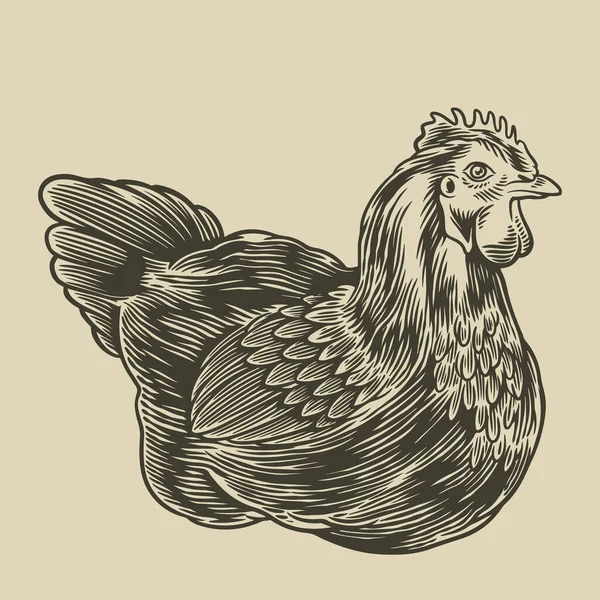 Illustrazione Disegnata Mano Gallina Pollame Polli Carne Animali Fattoria Concetto — Vettoriale Stock