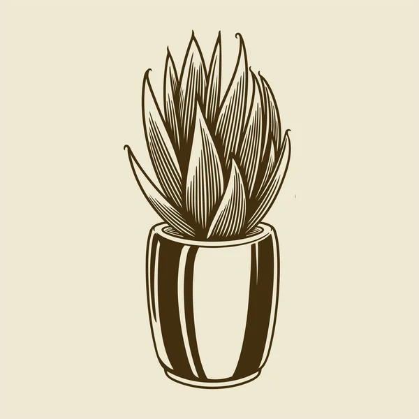 Handgezeichneter Kaktus Gravierten Stil Haus Kaktus Topf Vintage Isolierte Design — Stockvektor