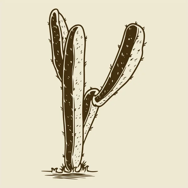 Cactus Sketch Style Vector Illustration Old Vintage Engraving Hand Drawn — Διανυσματικό Αρχείο