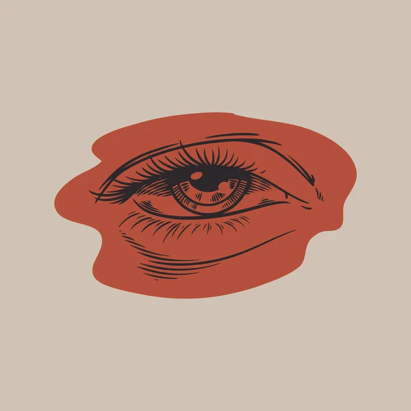 Mänskliga Ögon Biologiska Organ Anatomi Illustration Graverad Röd Hand Ritad — Stock vektor