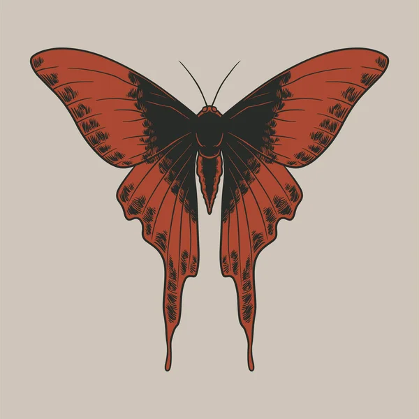 Vector Vintage Mariposas Estilo Grabado Ilustración Botánica Dibujada Mano Ninfalida — Archivo Imágenes Vectoriales