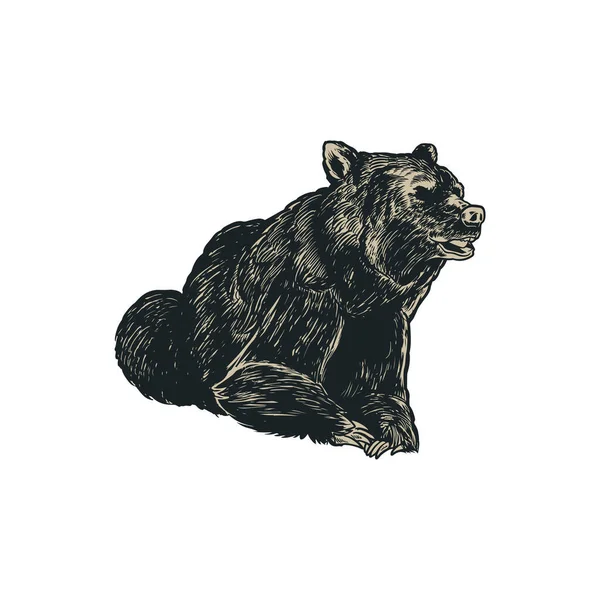 Grizzly Bear Met Hand Getekend Graveren Vintage Stijl Wilde Beer — Stockvector