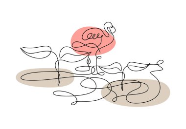 Flamingo hayvanı, sürekli bir yaprak, bitki ve kuş çizimi. Beyaz arka planda izole edilmiş bitkiler ve balıkçıl kuşların soyut tek çizgisi.