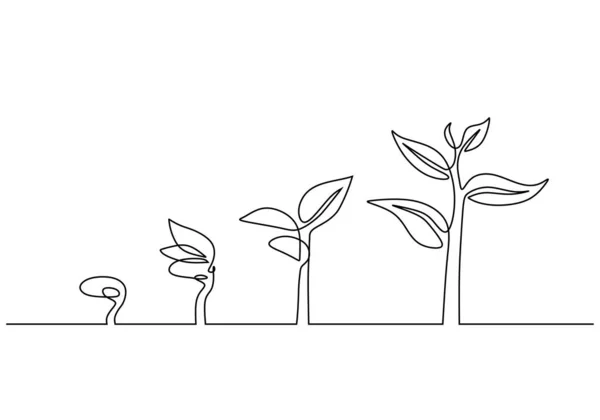 Kontinuerlig Linje Ritning Steg Trädtillväxt Växter Xer Isolerad Vit Bakgrund — Stock vektor