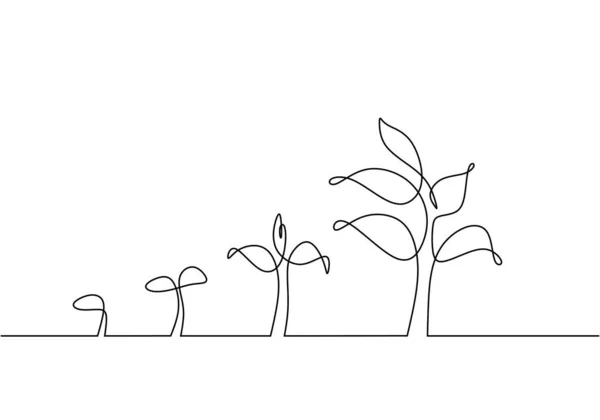 Desenho Contínuo Uma Linha Processo Crescimento Plantas Plantas Crescem Isoladas —  Vetores de Stock