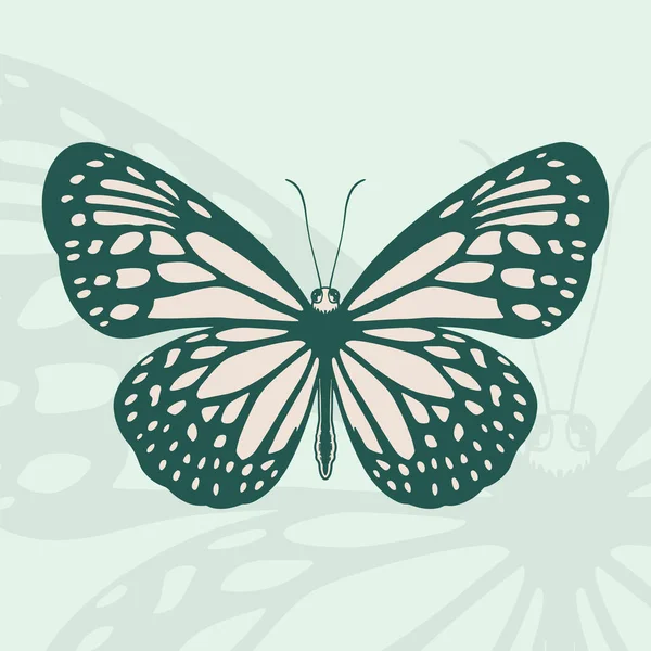 Handgezeichnete Zeichnung Eines Schmetterlings Schmetterling Malbuch Design Tuschezeichnung Grafischer Stil — Stockvektor