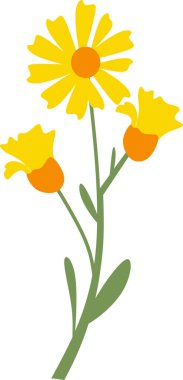 Düz illüstrasyon tarzında karahindiba çiçeği. Bahar doğası kavramı. Vektör çizimi. Modern düz katmanlar ve ölçeklenebilir elementler.