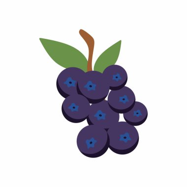 Sağlıklı beslenme konsepti. Yaban mersininin düz çizimi. Basit şekilli modern vektör.