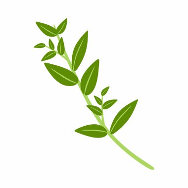 Düz çizimde kekik dalı. Mutfak malzemeleri konsepti. Modern vektör tasarımı. Aşçılık projeleri için basit şekiller ve temiz satırlar.