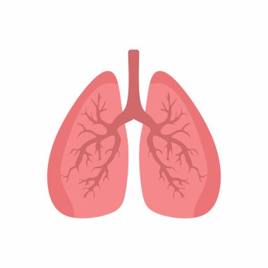 Ciğerleri düz çizim. Solunum sağlığını temsil ediyor. Basit vektör tasarımı. Anatomi ve tıbbi projeler için modern geometrik biçim.