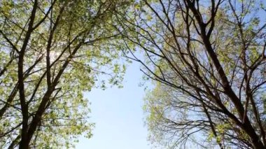 River View. Doğanın manzarası.