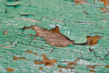 Çatallı eski yeşil tahta. Seçici odak.