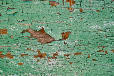 Çatallı eski yeşil tahta. Seçici odak.