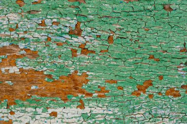 Çatallı eski yeşil tahta. Seçici odak.