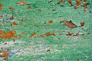 Çatallı eski yeşil tahta. Seçici odak.