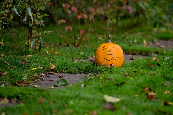 Pumpkin Jack lantern on green grass for Halloween party.