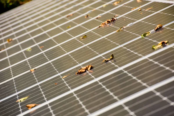 Close-up of solar panels on a sunny day, selective focus.