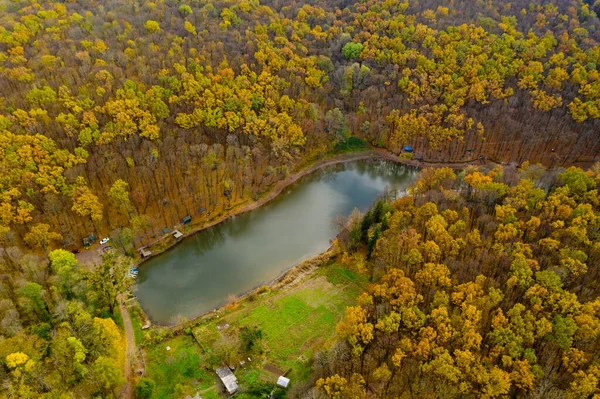 Vista Aérea Del Pequeño Lago Bosque — Foto de Stock