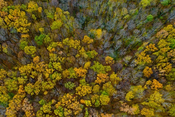 Widok Lotu Ptaka Jesienny Las Widok Góry — Zdjęcie stockowe