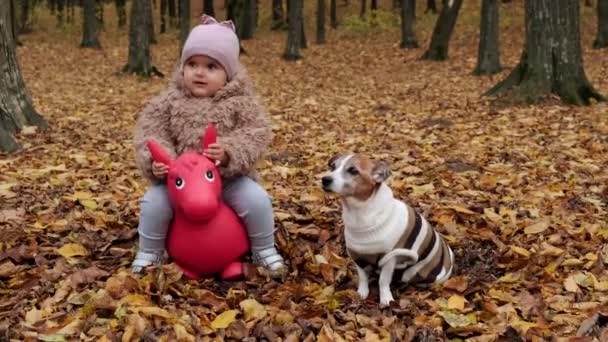 在秋天的公园里，小女孩跳着玩着橡胶马玩具，真有趣. — 图库视频影像