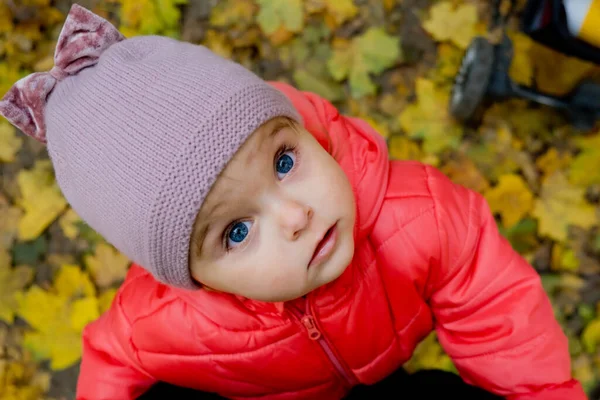 秋の紅葉を背景に少女の肖像画 — ストック写真