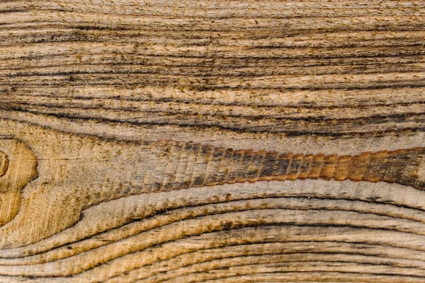 Přírodní Dřevěné Pozadí Detailní Záběr — Stock fotografie