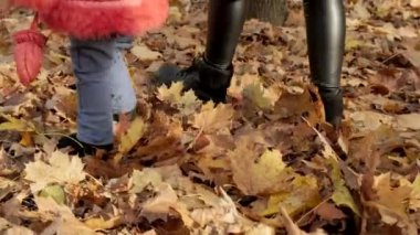 Kadınların ve çocukların ayaklarının arkası parkta düşen yaprakların üzerinde yürüyor. Yavaş çekim.