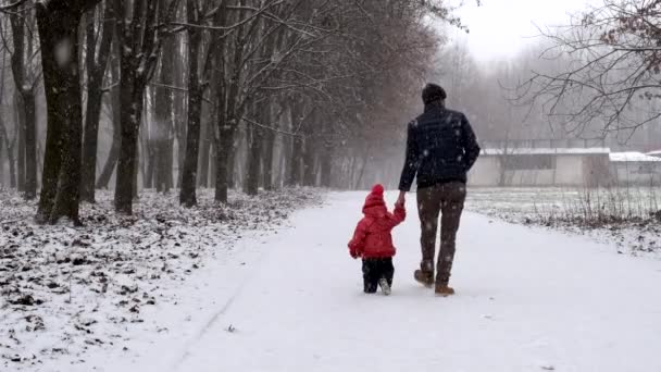 Papà e sua figlia stanno camminando nel parco in una tempesta di neve. Al rallentatore. Vista posteriore. — Video Stock