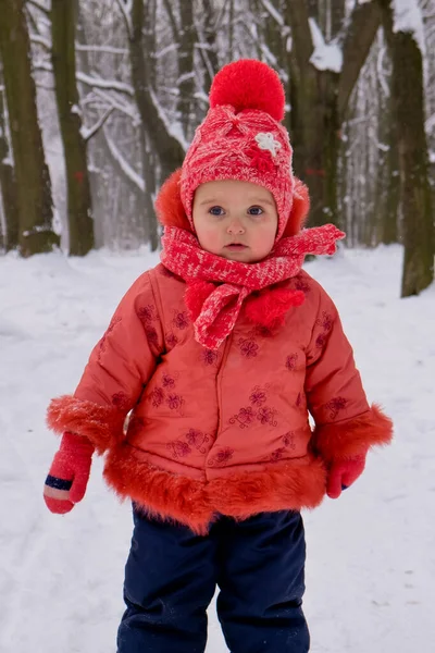 Dziewczynka Która Przechadza Się Śniegu Parku Zimowy Sezon Mrozów — Zdjęcie stockowe