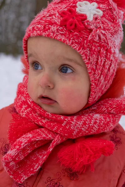 Bebek Kız Kardan Etkilendi Yakın Plan — Stok fotoğraf