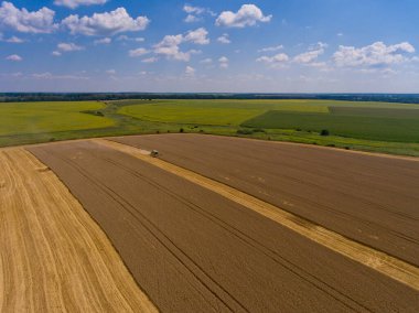 Tarlada çalışan hasat makinesi. Hava görünümü.