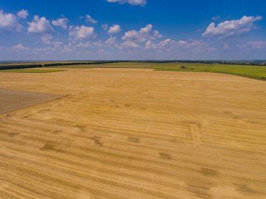 Yazın sarı buğday tarlasının havadan görünüşü.
