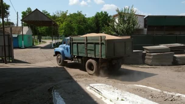 Kyjev Ukrajina Července 2021 Nákladní Automobil Přepravuje Sklizenou Obilí Pšenici — Stock video