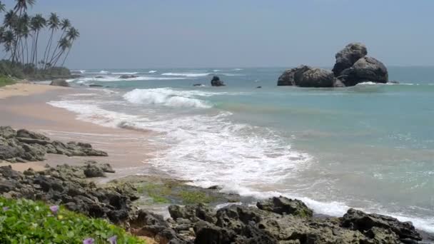 Surf playa del océano — Vídeo de stock