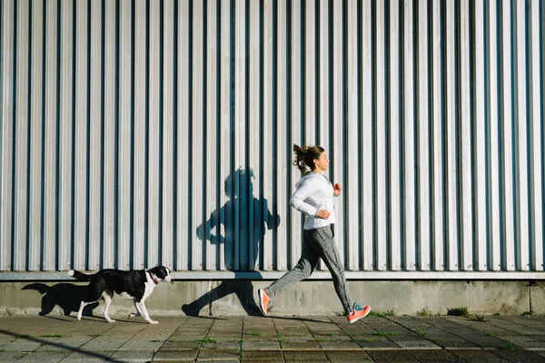 Kadın ve köpek togheter çalıştıran — Stok fotoğraf