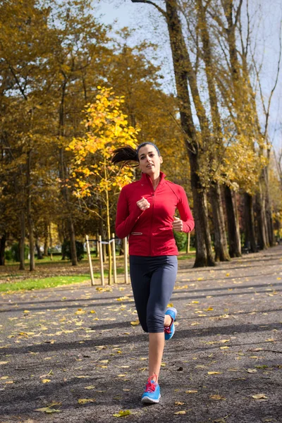 Female athlete running in autumn park — Stok fotoğraf